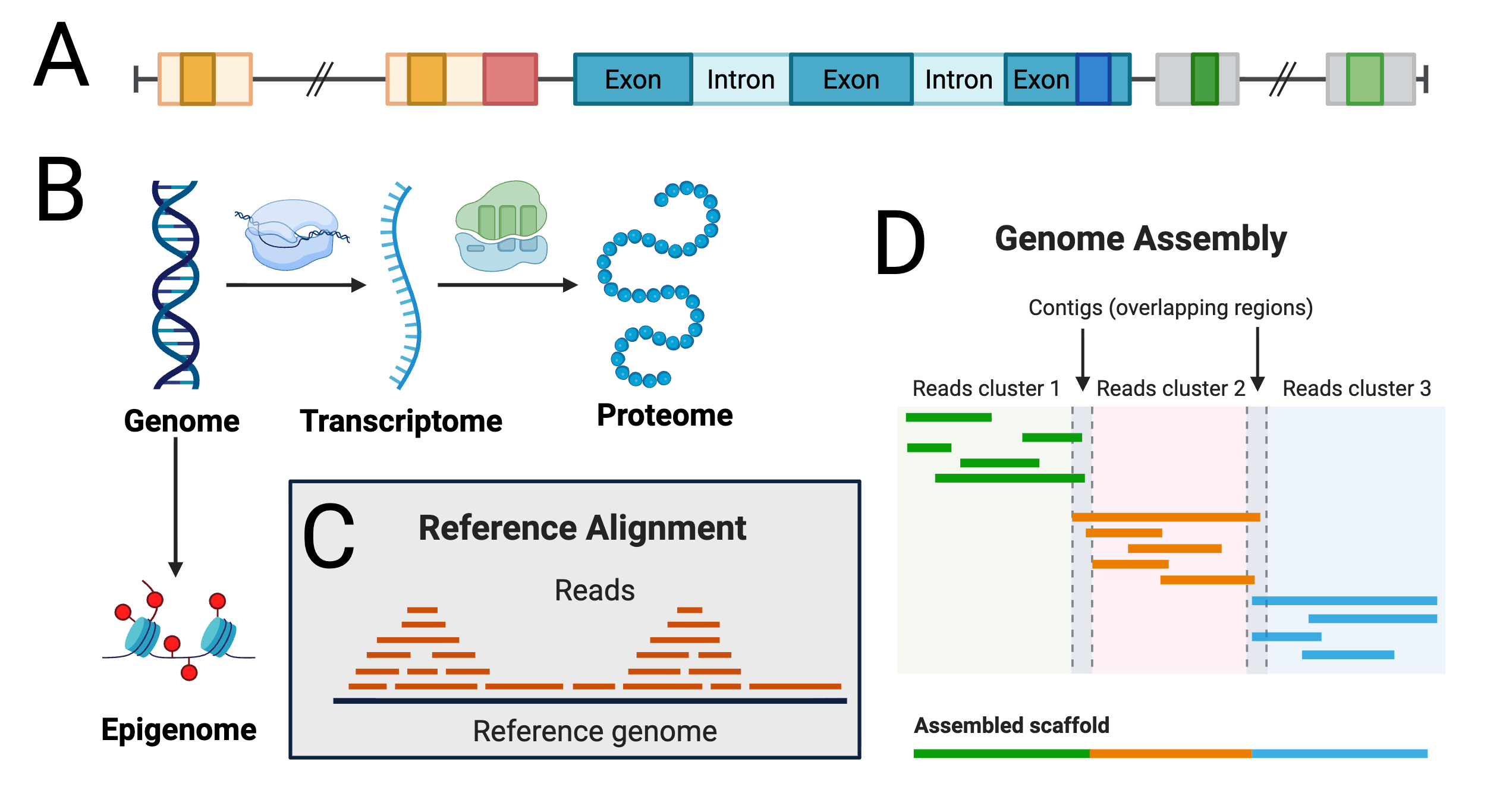 A four panel diagram of core concepts in genomics.